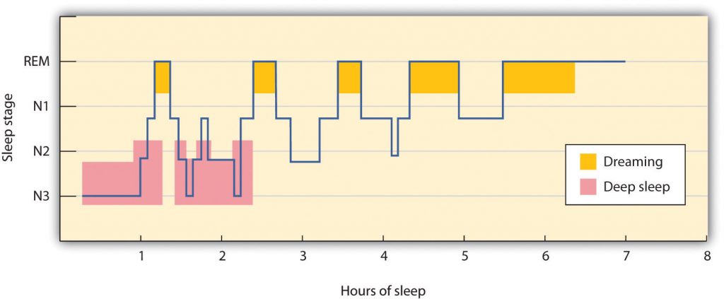 This chart shows sleep stages, including dreaming and deep sleep cycles.