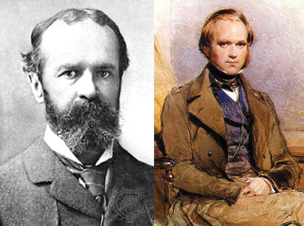 On the left, this picture shows a portait of William James; on the right, this painting shows a portait of young Charles Darwin.