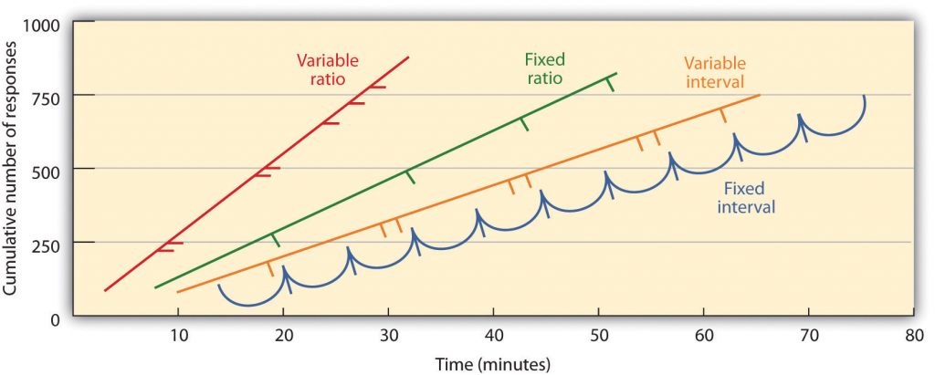This chart shows the differences in number of responses over time between variable ratio, fixed ratio, variable interval, and fixed interval.