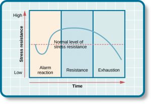 This chart contrasts stress resistance by time. It shows the three stages of Selye’s general adaption syndrome: alarm reaction, resistance, and exhaustion. The x-axis represents time while the y-axis represents stress levels. The x-axis is labeled “Time” and the y-axis is labeled “Stress resistance.” The graph shows that an increase in time and stress ultimately leads to exhaustion.