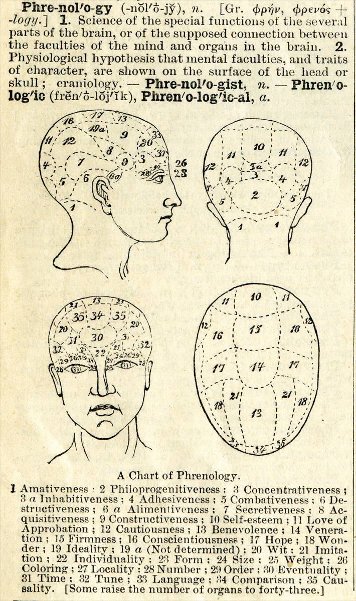 This diagram illustrates a chart of phrenology and provides a definition. Long description available.