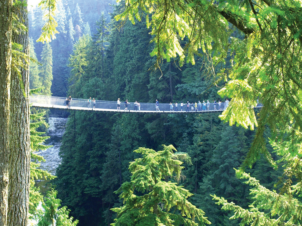 This picture shows people walking along the Capilano Suspension Bridge.