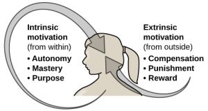 On the left, this diagram illustrates intrinsic motivation (from within) as autonomy, mastery, and purpose; on the right, this diagram illustrates extrinsic motivation (from outside) as compensation, punishment, and reward.