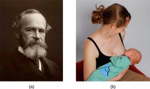 On the left, this picture shows a portrait of William James; on the right, this picture shows a woman breastfeeding a baby.