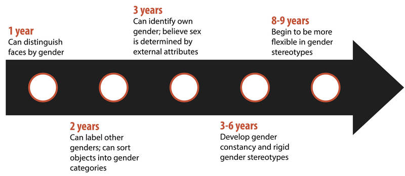 This chart provides a timeline summarizing the information given in the preceding paragraph about the abilities of children to classify gender at different ages.