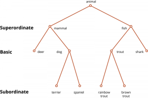 This chart provides examples of superordinate, basic, and subordinate categories. For example, "mammals" is a superordinate category in which "dog" is a basic member; below that, specific types of dogs such as "spaniels" are subordinate categories.